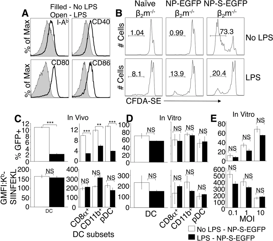 Treatment with TLR agonists <i>in vivo</i> inhibits viral infectivity but does not enhance direct antigen presentation.