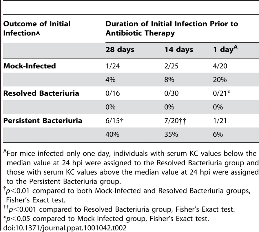Incidence of chronic cystitis upon challenge infection.