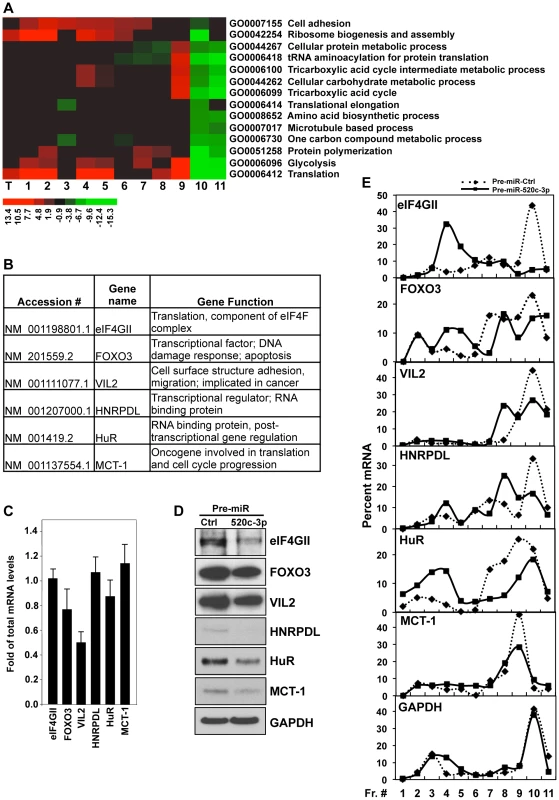 Analysis of microarray data in HeLa cells.