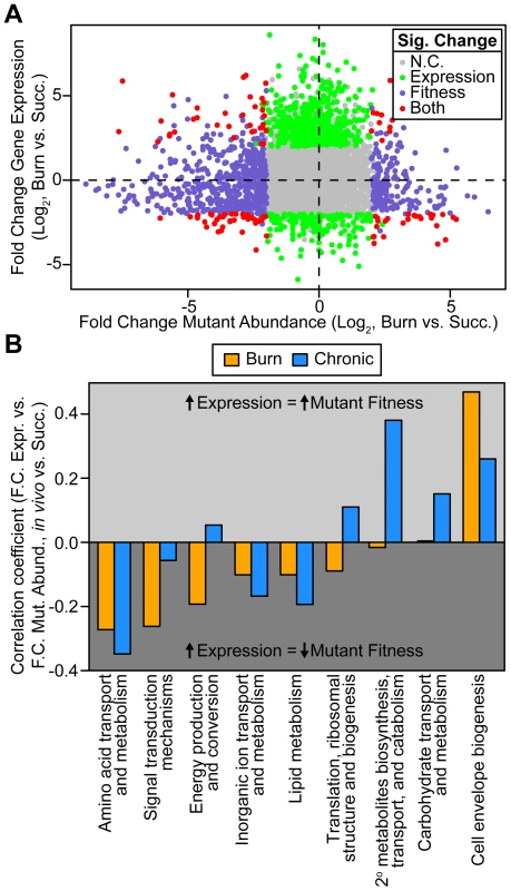 Genome-wide <i>P. aeruginosa</i> gene expression and knockout fitness in wound infection are not correlated.