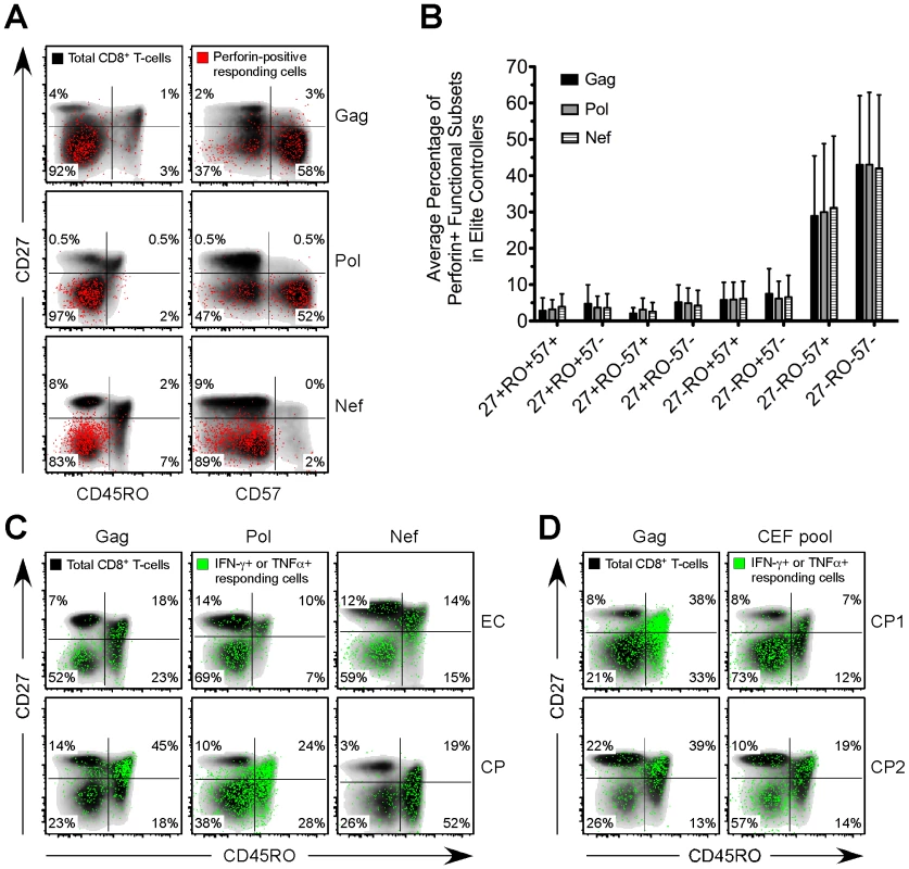 Distinct expansion of HIV-specific effector CD8<sup>+</sup> T-cells in EC.