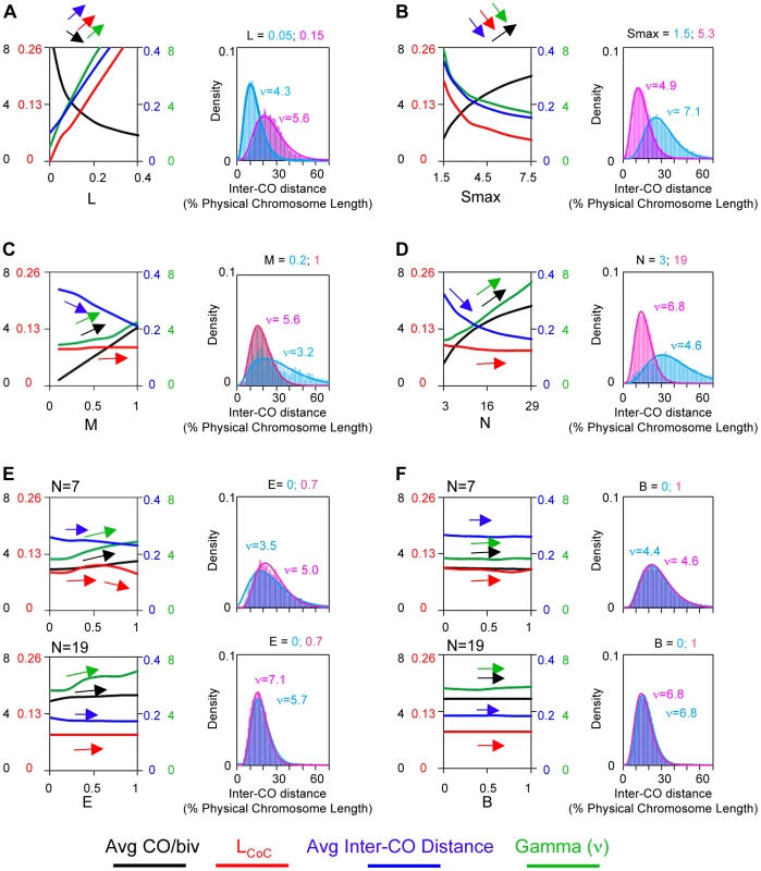 Application of the gamma distribution to CO patterns: Risks and rewards.