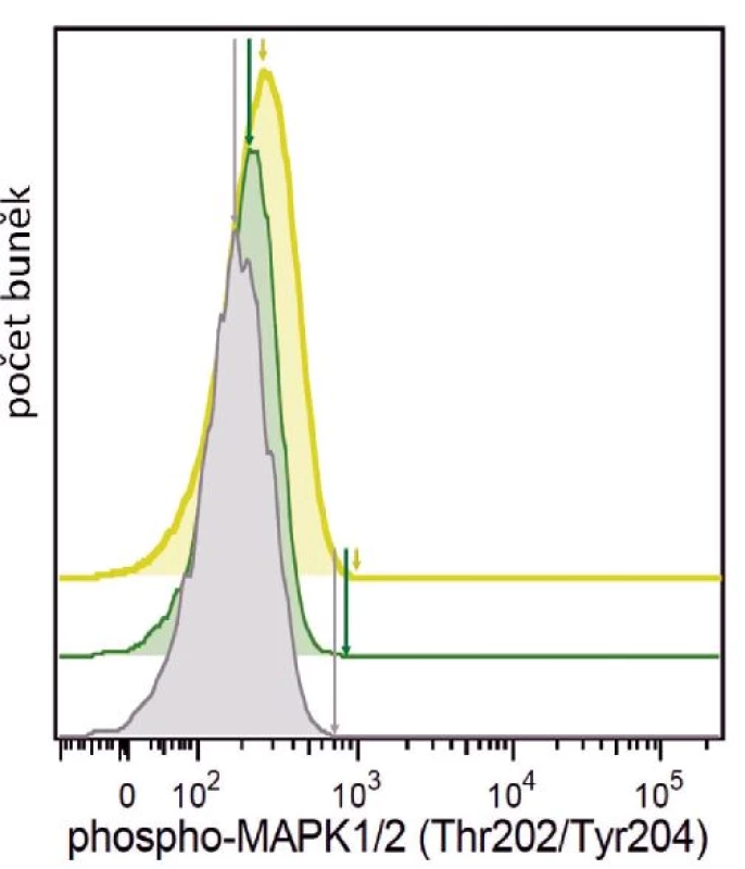 Ukázka Single Cell Phospho-Flow.
Bazální hladina fosforylace signalizačního proteinu MAPK1/2 v pB-ALL blastech (žlutě), zdravých T lymfocytech (zeleně) a zdravých B lymfocytech (šedě) ve vzorku kostní dřeně pacientky ze skupiny B-other pB-ALL. Zvýšená fosforylace MAPK1/2 v leukemických blastech byla detekována metodou Single Cell Phospho-Flow. Defosforylace signalizačních proteinů (včetně MAPK1/2) může být následně využito jako znaku senzitivity na inhibitory tyrosinových kináz.