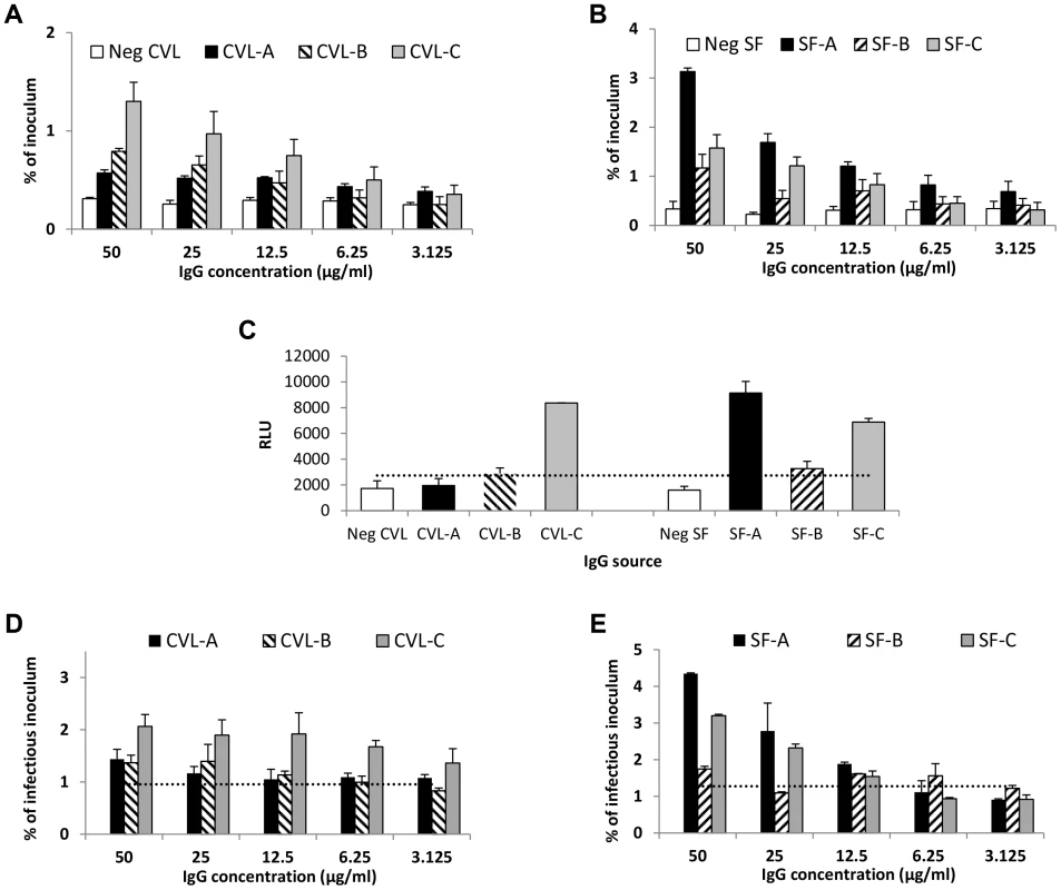 IgG purified from genital tract secretions enhances transcytosis at pH 6.0.