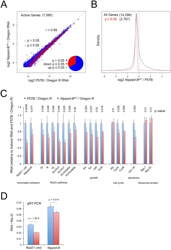 <i>Nipped-B</i> mutant wing discs show broadly reduced gene expression by RNA-seq analysis.
