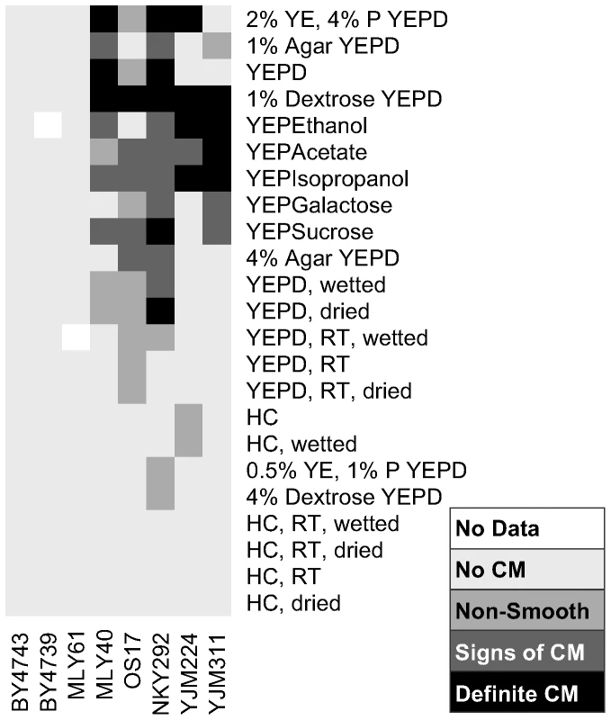 Extent of complex colony morphology under a variety of growth conditions.