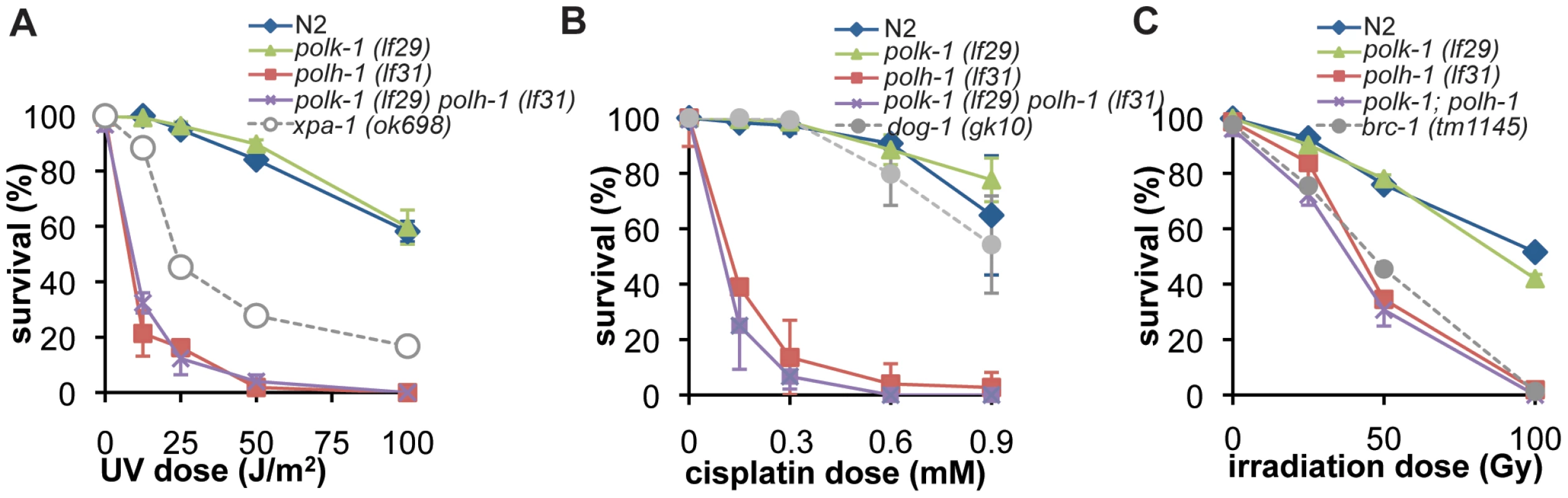 Germline sensitivity of <i>polh-1</i> and <i>polk-1</i> mutants to different sources of DNA damage.