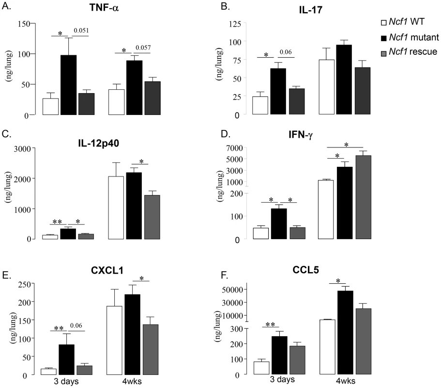 Cytokine and chemokine responses to BCG infection.