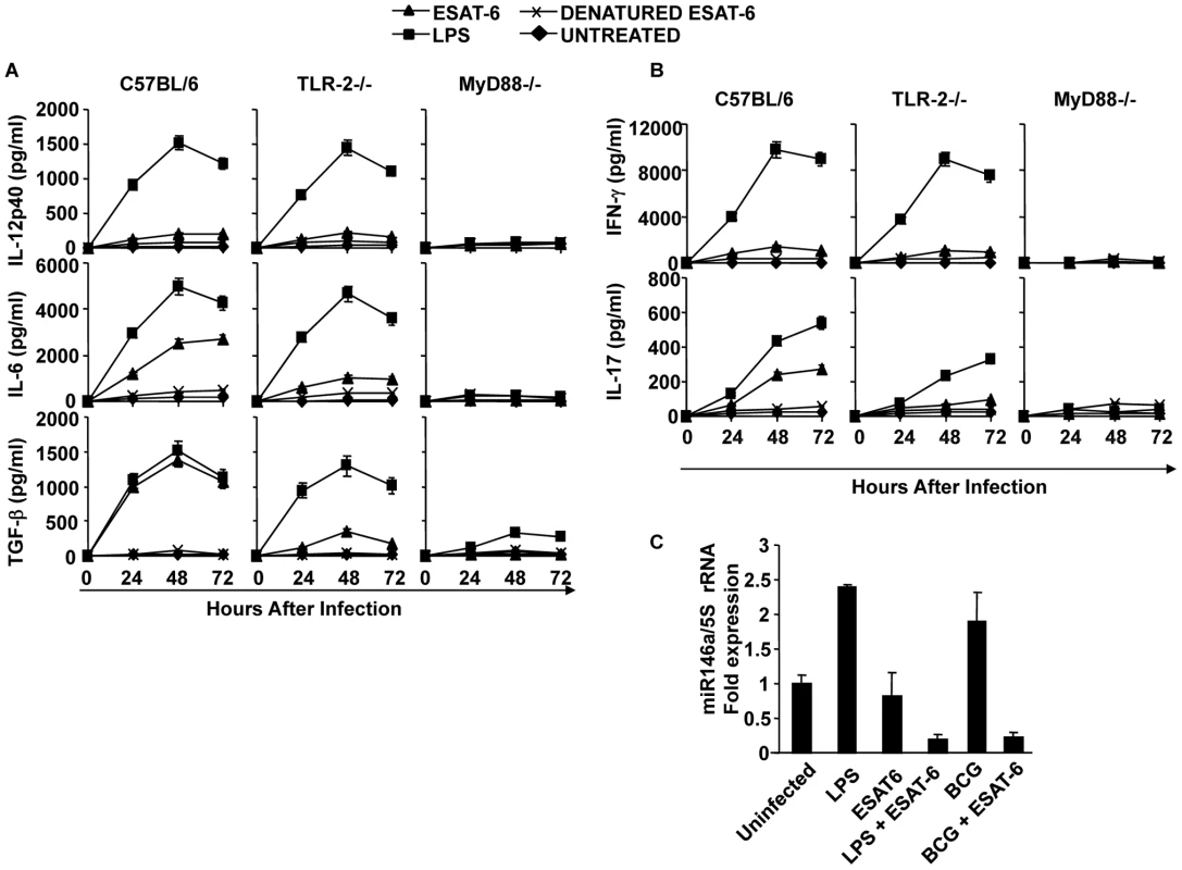 ESAT-6 induces IL-6 and TGF-β in DCs in a TLR-2- and MyD88-dependent manner.