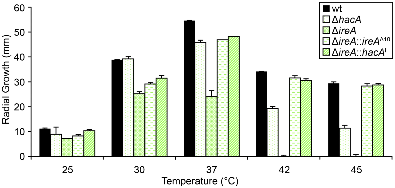IreA contributes to thermotolerant growth.