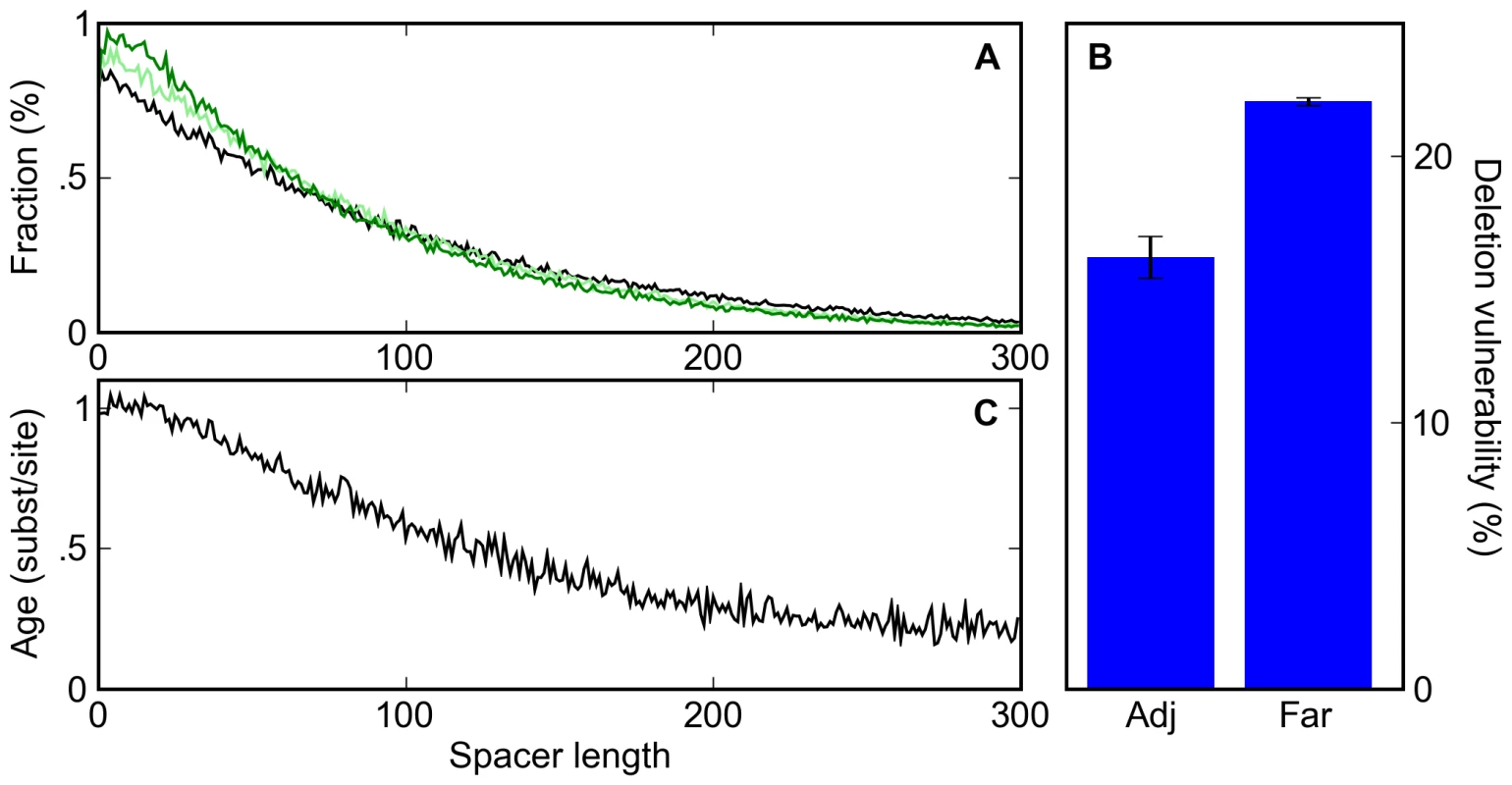 A deletion bias leads to clustering of sites and the apparent conservation of clustered sites.