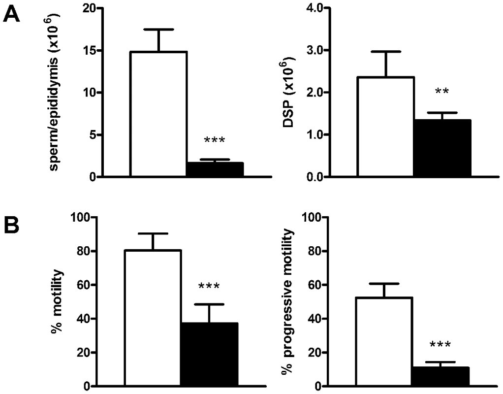 Sperm output and functional characteristics.