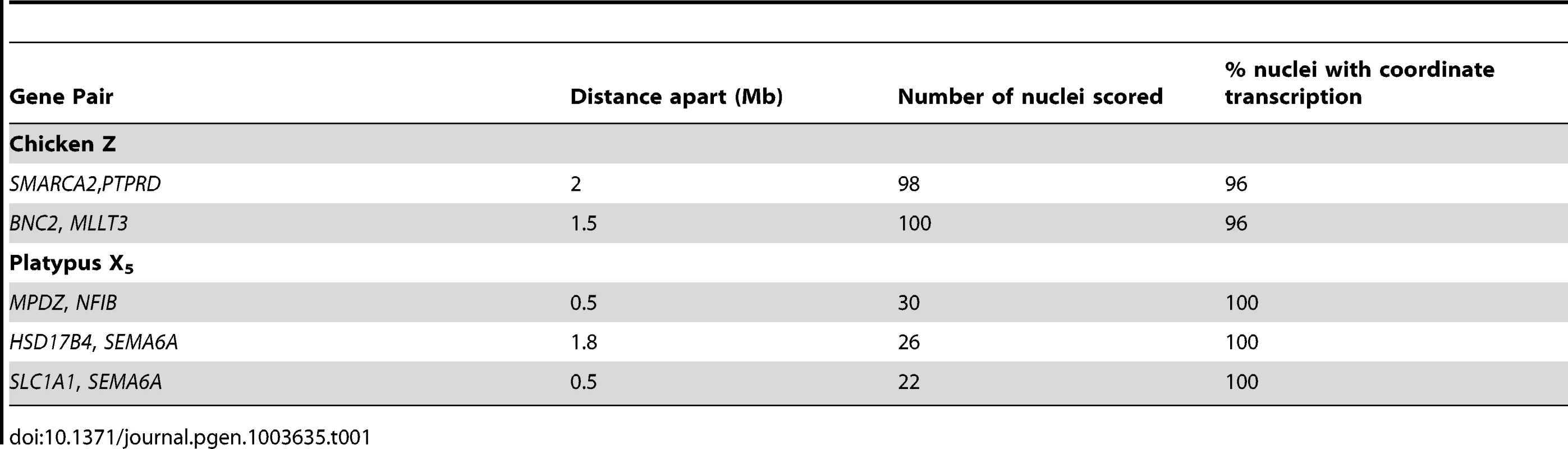 RNA-FISH analysis of transcription from neighbouring loci in homogametic nuclei.