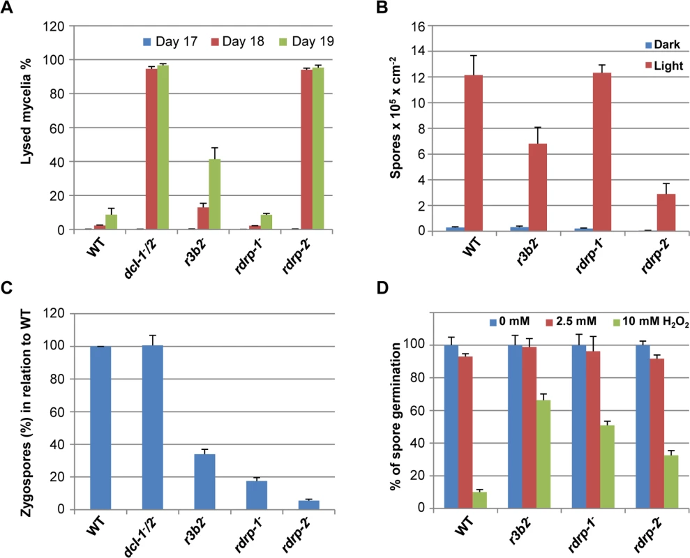 Phenotypes of <i>M</i>. <i>circinelloides r3b2<sup>-</sup></i> mutant.