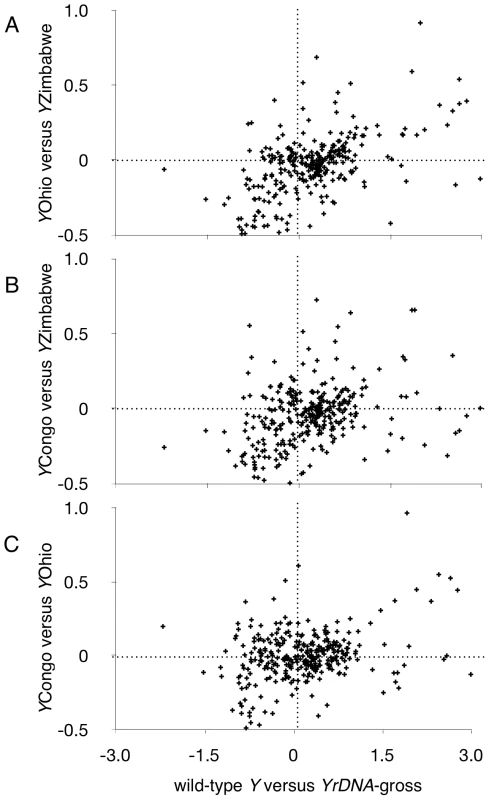 Correlations between absolute fold changes in <i>rDNA</i> responsive genes identified by induced <i>rDNA</i> deletions and absolute fold changes arising from natural <i>Y</i> chromosome polymorphisms.