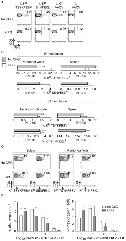 TLR-ligands do not block the T<sub>CD8+</sub> response to live VACV.