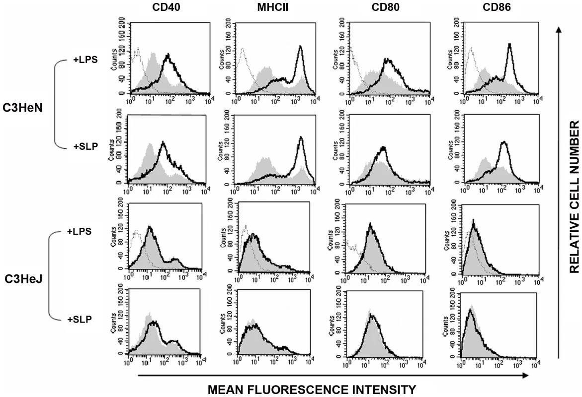 SLPs induce DC maturation via TLR4.