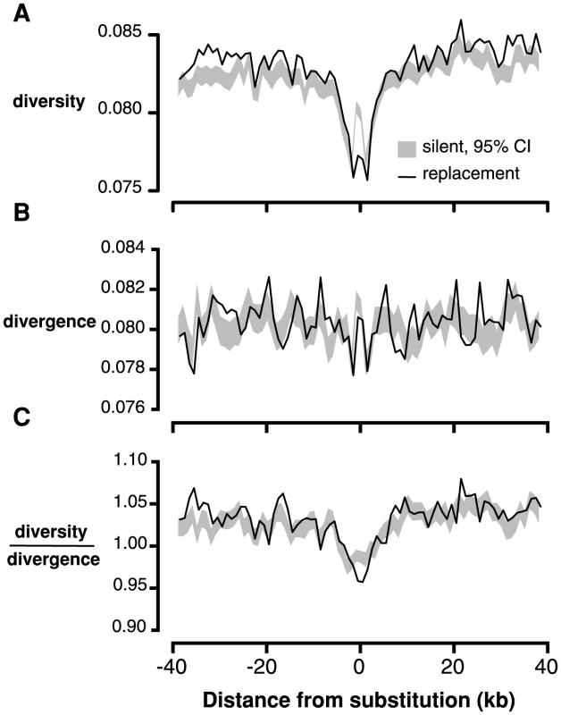 Linked neutral diversity and divergence as a function of distance from fixed substitutions across the <i>C. grandiflora</i> genome.