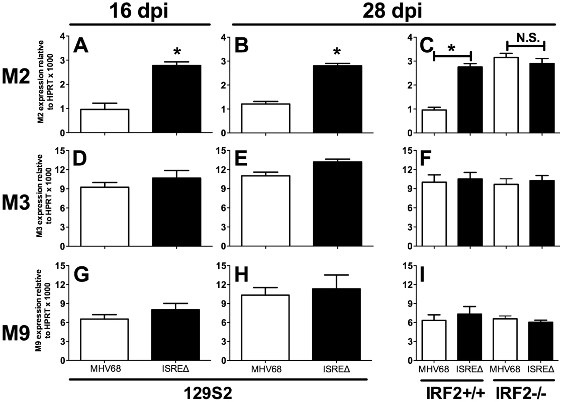 The M2 ISRE requires IRF2 to represses M2 transcript levels during latency <i>in vivo</i>.