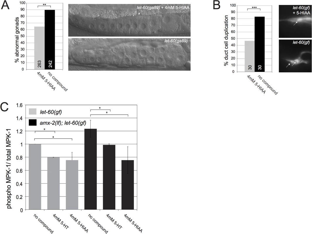 5-HIAA inhibits RAS/MAPK signaling and MPK-1 phosphorylation in multiple organs of <i>C</i>. <i>elegans</i>.