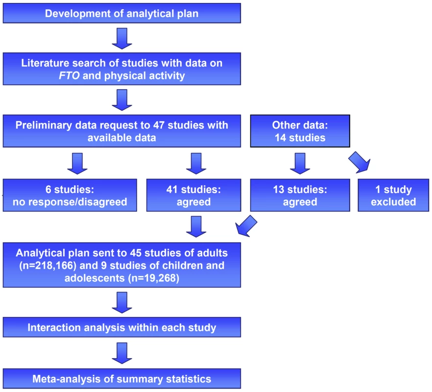 Study design of the <i>FTO</i>×PA interaction meta-analysis.