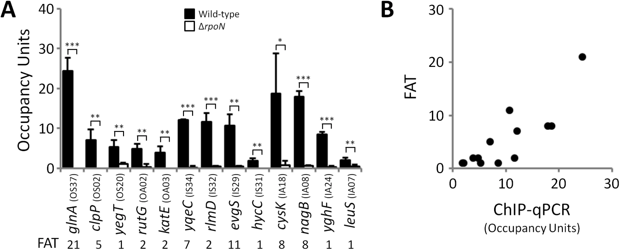 ChIP-seq enrichment represents genuine σ<sup>54</sup> binding.