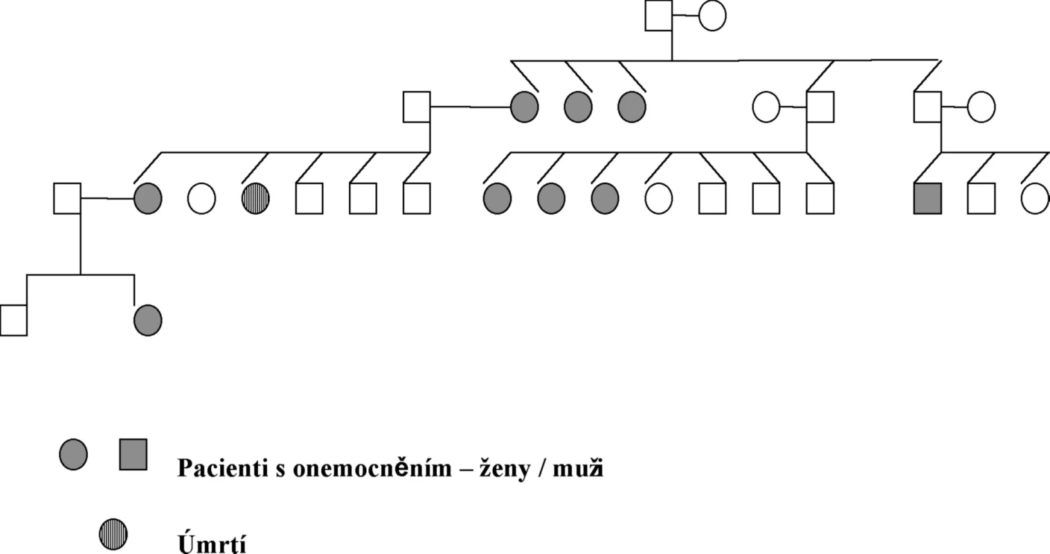 Příklad genealogie jedné rodiny.