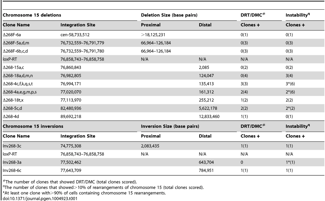 Cre/loxP-mediated chromosome 15 rearrangements.