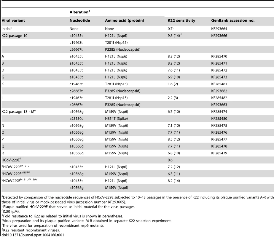 Alterations detected in the K22 resistant variants of HCoV-229E.