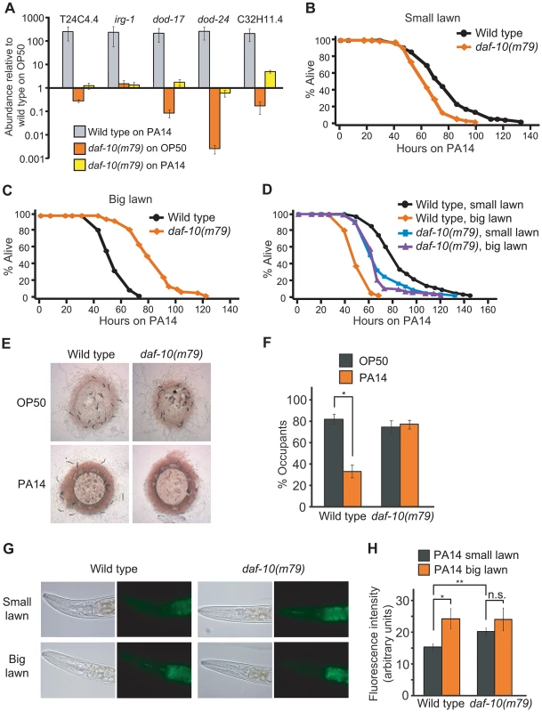 <i>daf-10</i> mutations alter the worm's response to pathogens.