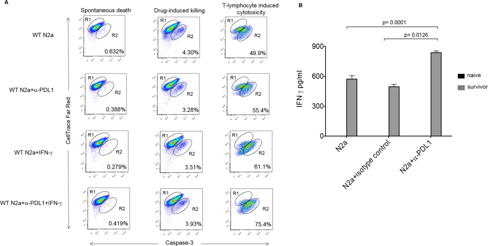 Enhanced effector function of tumor-infiltrating lymphocytes (TILs) and memory response in survivors with inhibition of programmed cell death-ligand 1 (PD-L1).