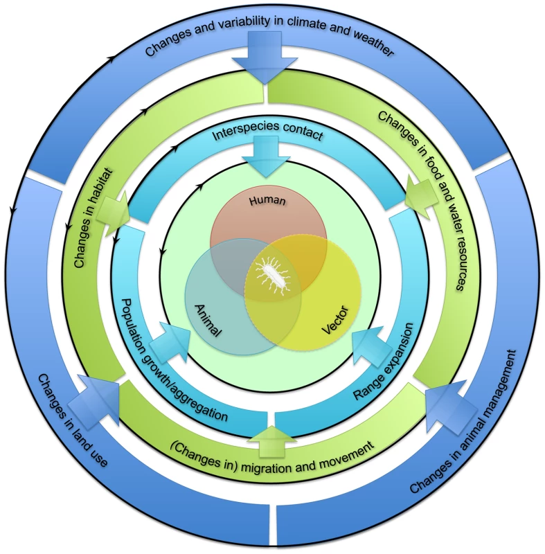 Framework for the classification of drivers of human exposure to animal pathogens (interspecies barrier).