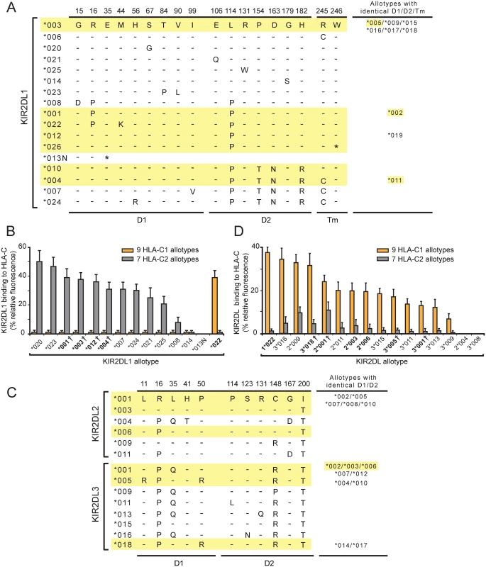 A variant of KIR2DL1 originating in the KhoeSan is a C1-specific receptor and not a C2-specific receptor like other KIR2DL1.