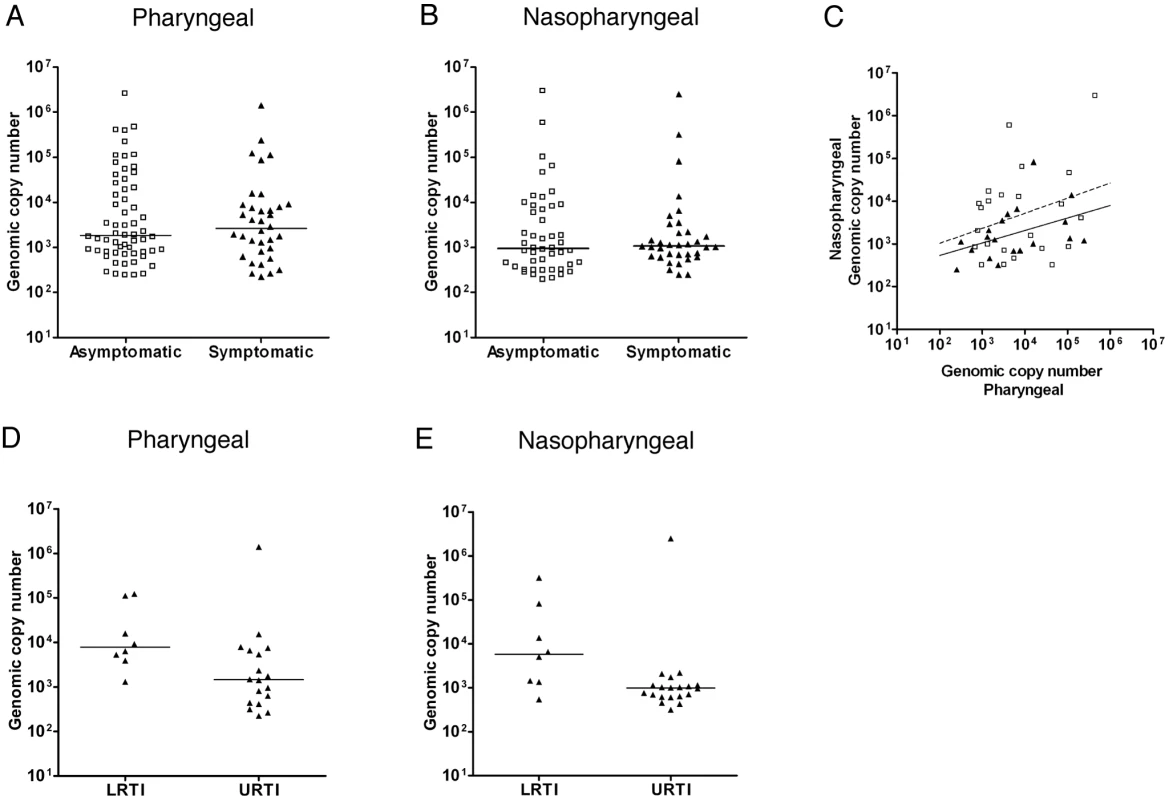 <i>M. pneumoniae</i> DNA loads.