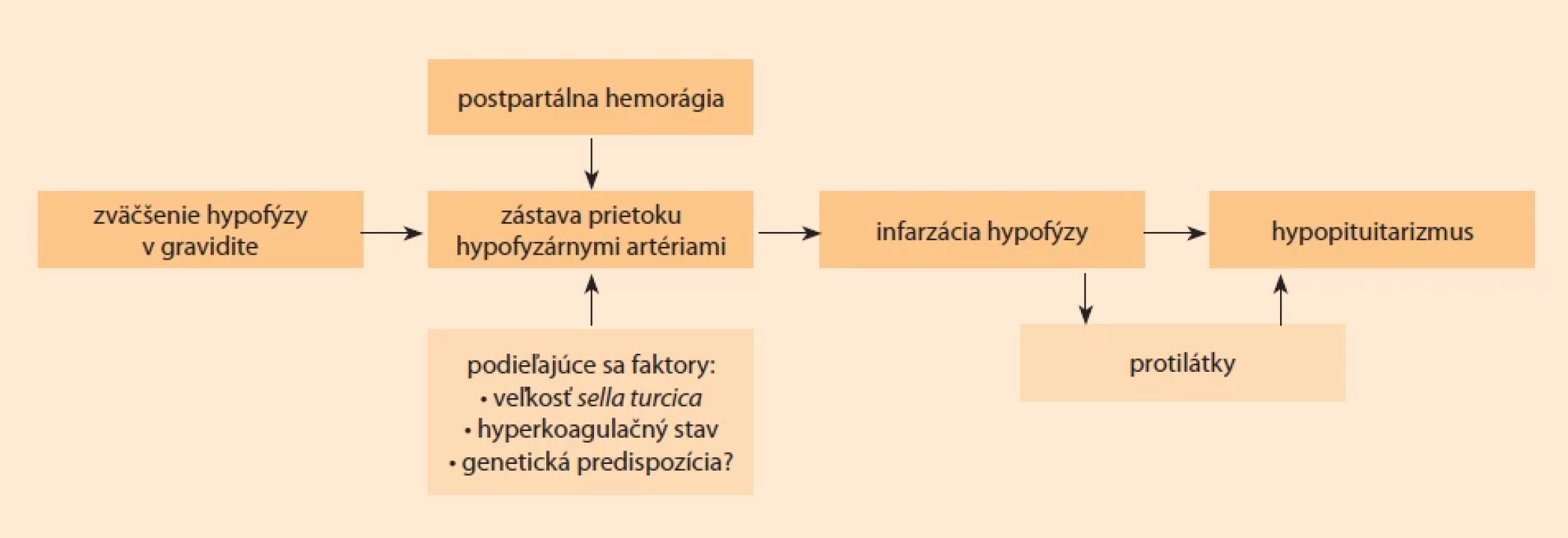 Etiopatogenéza Sheehanovho syndrómu [17].