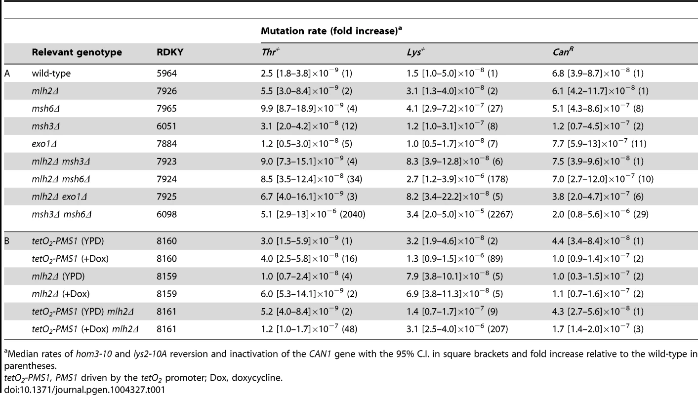 Mutation rate analysis of <i>mlh2Δ</i> in combination with mismatch repair mutations.