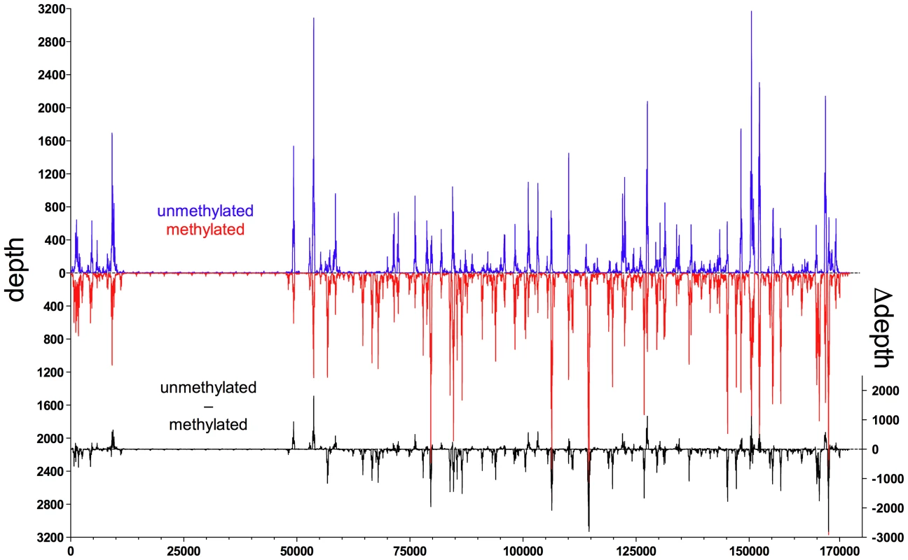 Zta binds preferentially to CpG-methylated EBV DNA <i>in vitro</i>.