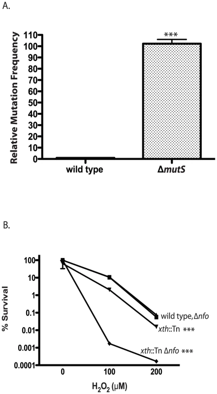 Phenotypes of <i>V. cholerae</i> DNA repair mutants.