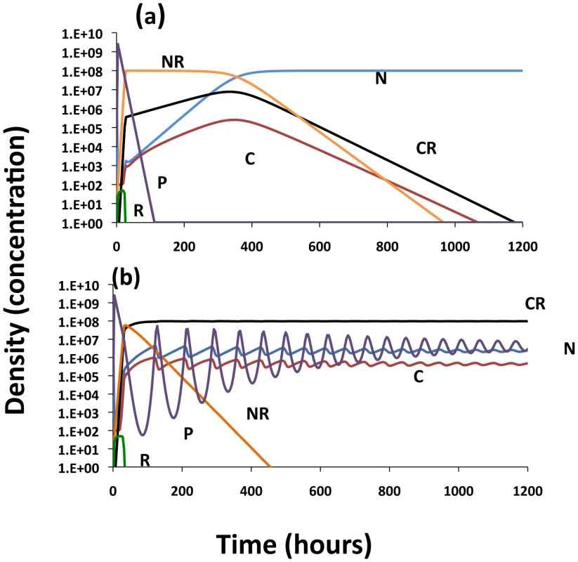 Population dynamics of lytic phage, <i>P</i>, with sensitive and resistant non–CRISPR bacteria, <i>N</i> and N<sub>R</sub>, non-immune and immune CRISPR-encoding cells, C and C<sub>R</sub>, respectively.