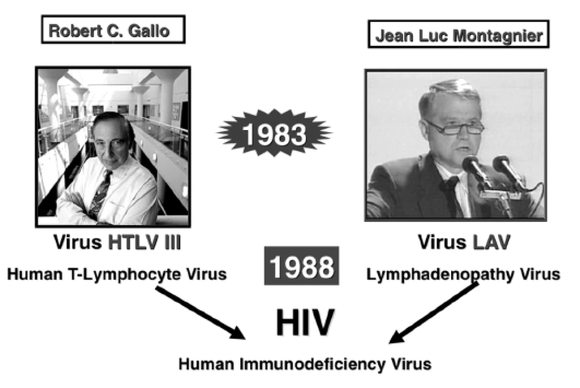 Izolace etiologického agens AIDS

Fig. 1. Isolation of the etiological agent of AIDS
