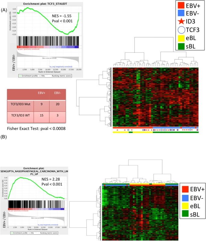 (A) the dendrogram classifies the samples into EBV-positive and EBV-negative BL independently on the specific subtype with an accuracy of 96% (45/47). (B) GSEA C2 analysis on genes differentially expressed between EBV-positive and EBV-negative cases detects a significant enrichment for the <i>LMP-1</i> gene set signature. GSEA: gene set enrichment analysis.