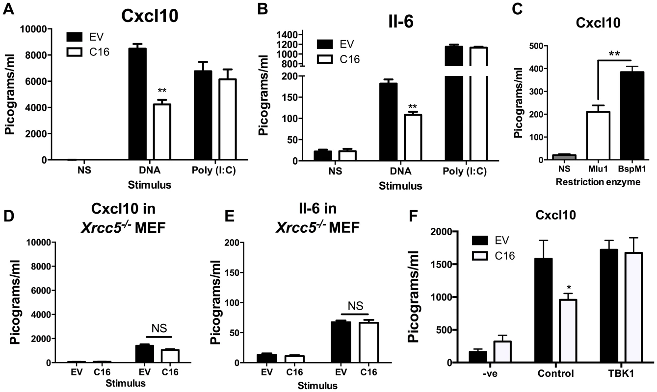 C16 inhibits DNA sensing, but not RNA sensing.