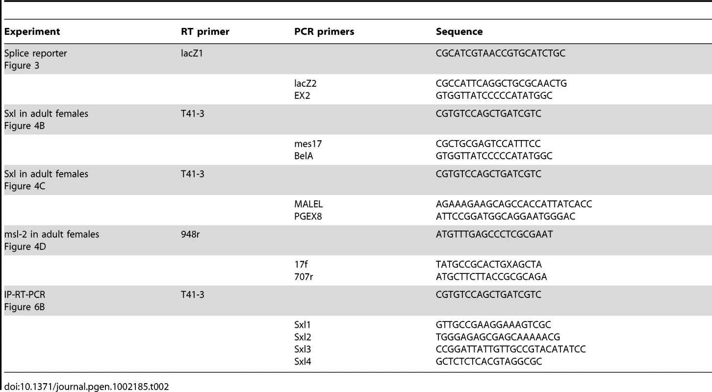 Primers used for RT-PCR experiments.