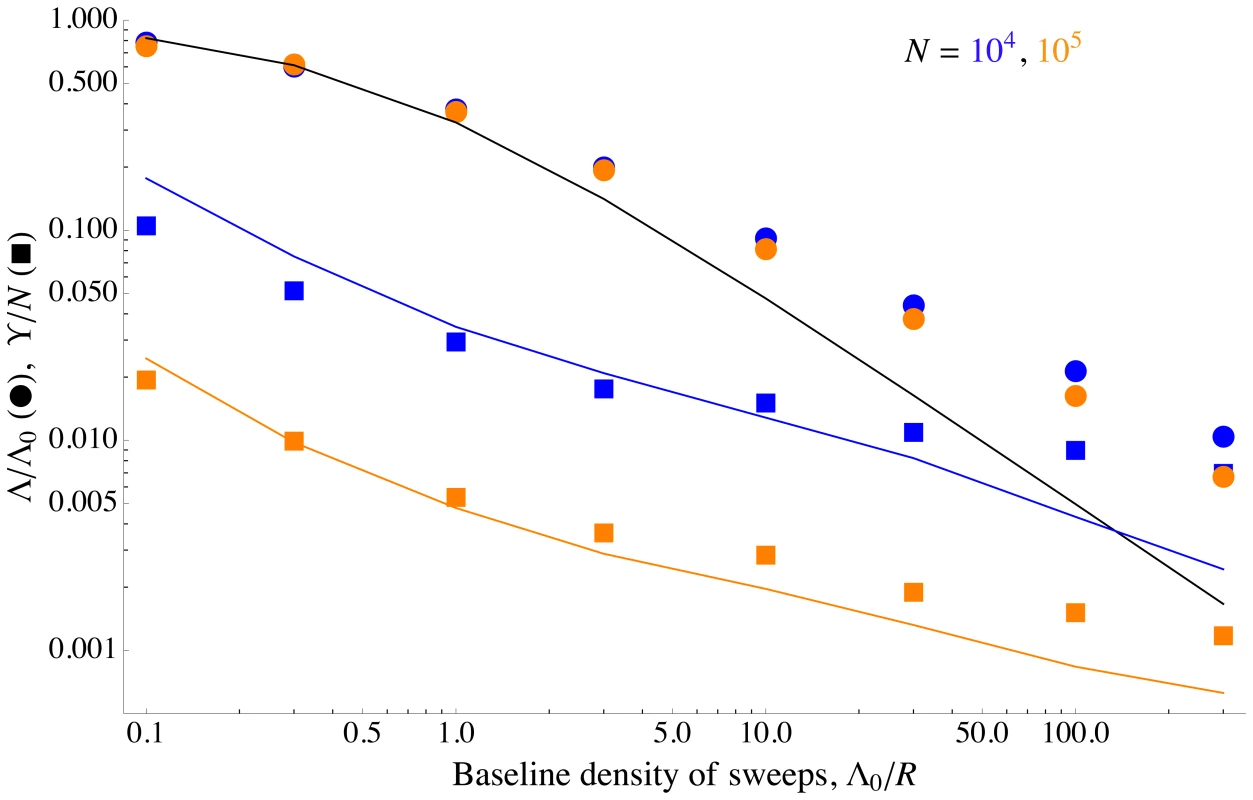 Differing effects of sweeps on selected and neutral alleles.