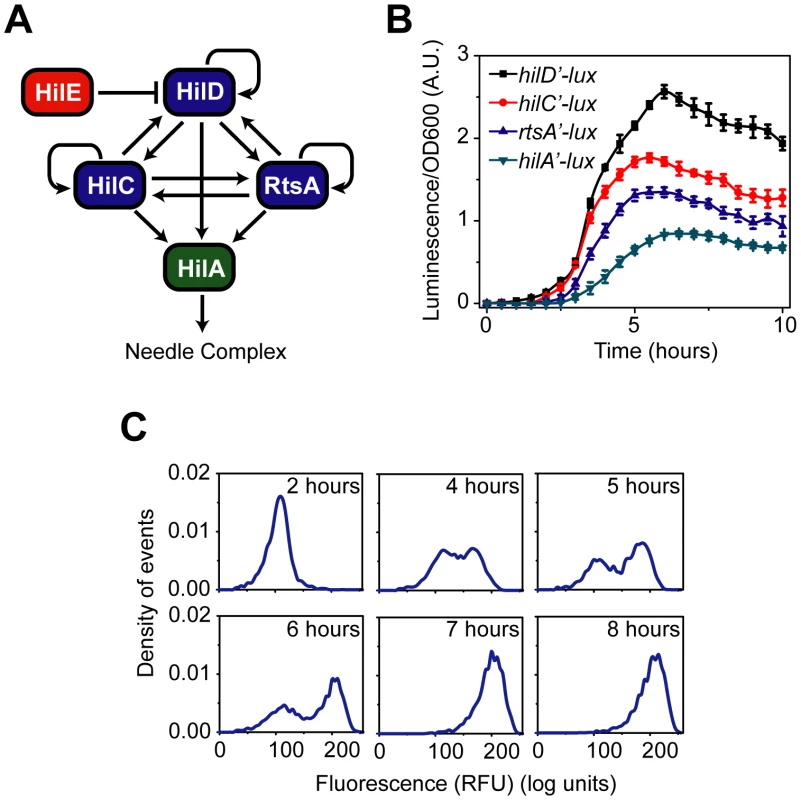 SPI1 gene expression is hierarchical and exhibits a switch-like transition from the “off” to the “on” state.