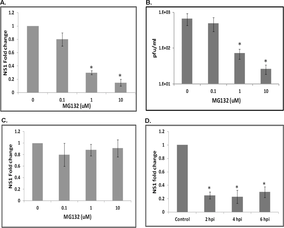 The proteasomal pathway is important during WNV infection.