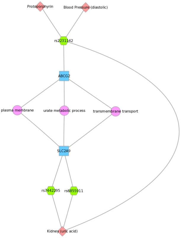 Using PheWAS results, Biofilter, and Cytoscape to explore gene-gene connections with GO biological processes.