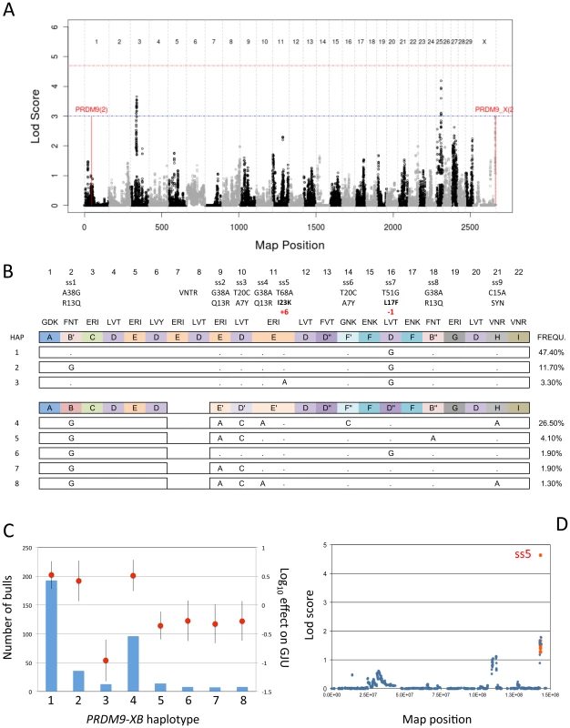 Results of the genome-scan, polymorphisms, observed counts and effects, results of single point analysis.