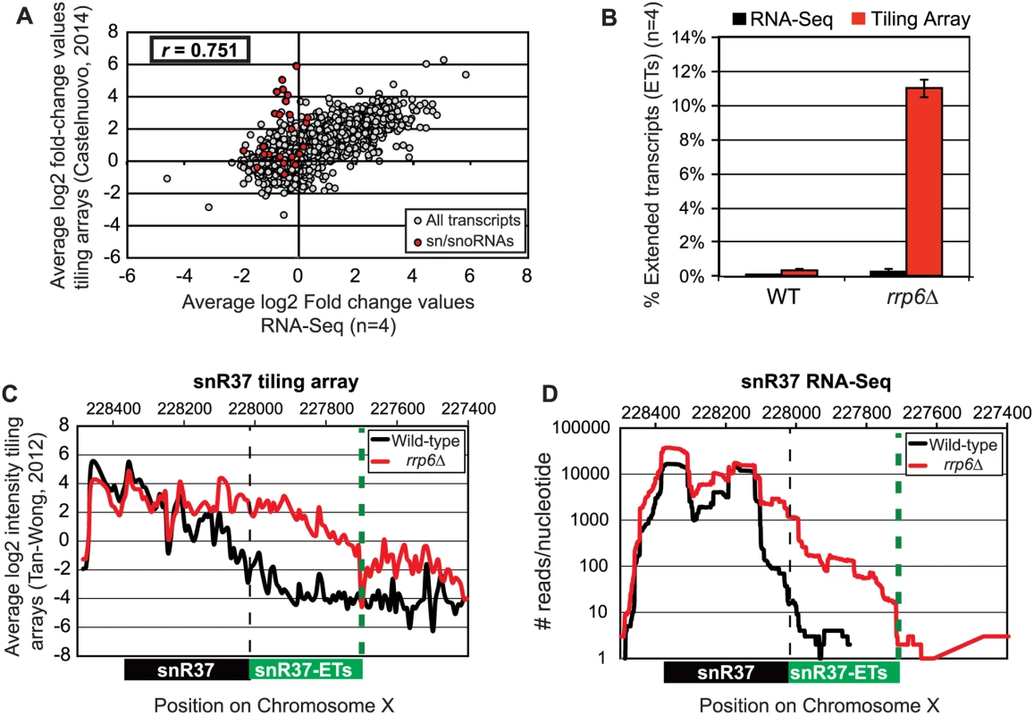 Comparison of highly abundant sn/snoRNA transcripts from <i>rrp6Δ</i> and WT strains obtained through tiling array or RNA sequencing.