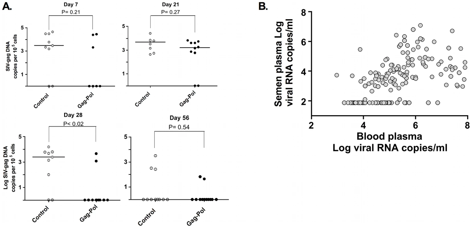 Association and threshold-effect between SIV DNA, and RNA levels in blood and semen.